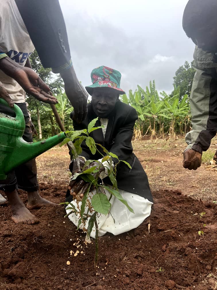 St. Marys College Kisammula